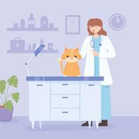 Cómo Identificar los Síntomas de Enfermedad en Gatos