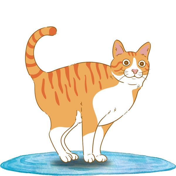 Taza Blanca con Impresión de Gato "Desafío Saiyajin"