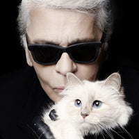 Karl Lagerfeld con su gato