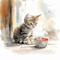 un gatito comiendo