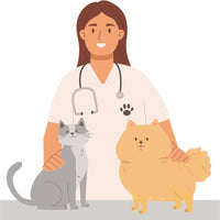 Cómo prevenir las enfermedades más comunes en gatos