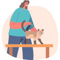 Cómo cuidar el pelaje de tu gato