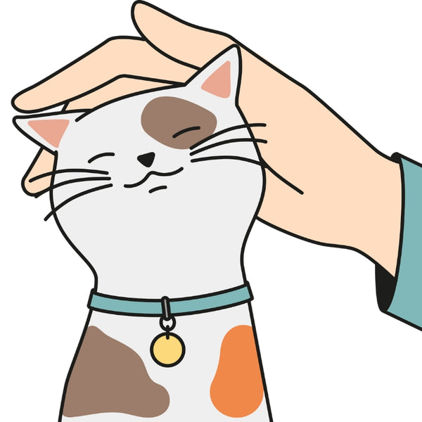 Camiseta unisex estampado de gato "Karen la mascota"