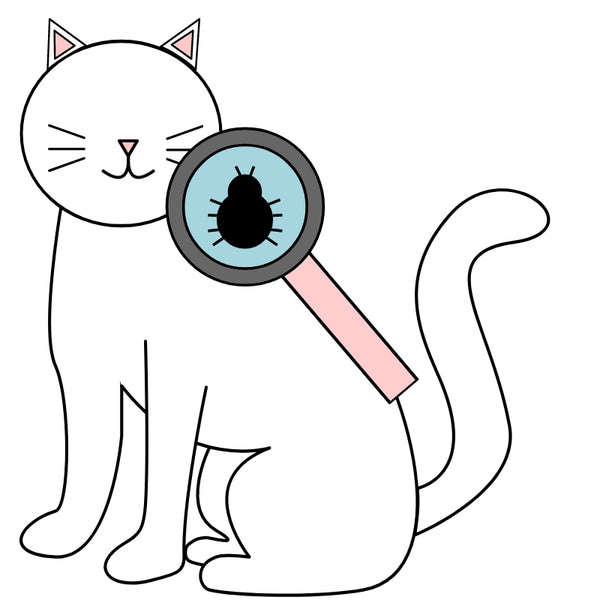 Póster semibrillante de gato con marco de madera "The Mysterious Connection"