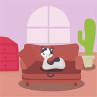 Cómo ayudar a tu gato a adaptarse a un nuevo hogar