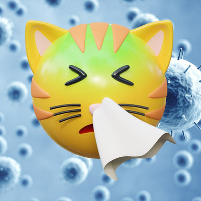 Señales de que su gato podría tener el virus de la gripe aviar