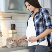Gatos y Embarazo: Precauciones y Consejos