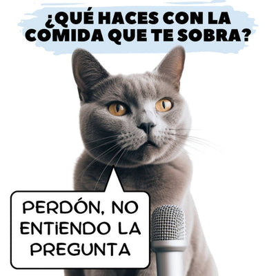 Gatos en Memes: De Redes Sociales a Cultura Popular