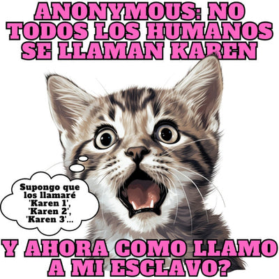 De Karen a Michi: Descubriendo el Origen de los Nombres de Gatos en los Memes