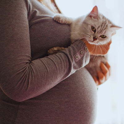 ¿Es seguro tener un gato durante el embarazo? 