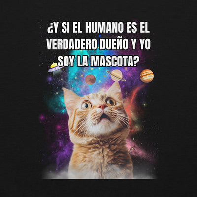 Gatos de Memes