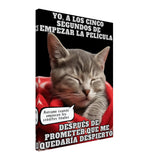 Lienzo de gato "Cinéfilo Dormilón" 45x60 cm / 18x24″