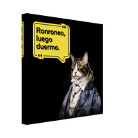 Lienzo de gato "René Michi Descartes" Michilandia | La tienda online de los amantes de gatos