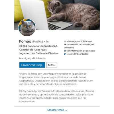 Tu Gato en su Propia Plataforma Digital - ¡Personaliza su Perfil!