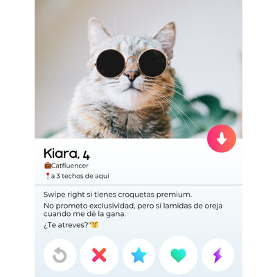 Tu Gato en su Propia Plataforma Digital - ¡Personaliza su Perfil!