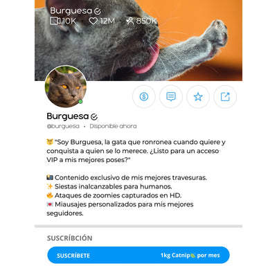 Tu Gato en su Propia Plataforma Digital - ¡Personaliza su Perfil!