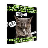 Lienzo de gato "El Detector de Golosinas" 40x40 cm / 16x16″
