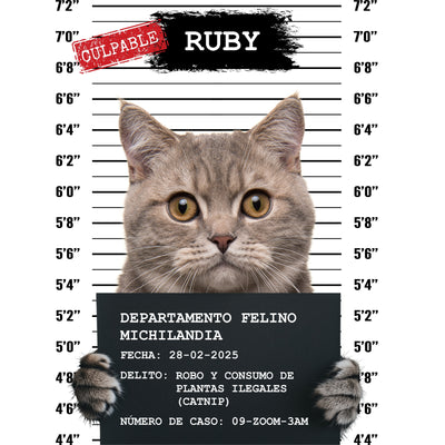 Convierte a tu Gato en una Leyenda - ¡Personaliza su Propio Cartel!