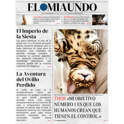 Tu Gato en los Titulares - ¡Hazlo la Estrella de un Periódico!