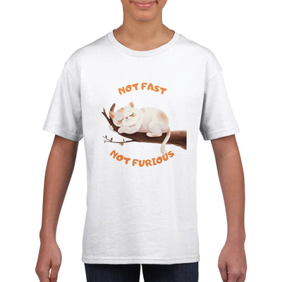 Camiseta Junior Unisex Estampado de Gato 