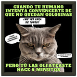 Póster Semibrillante de Gato con Marco Metal "El Detector de Golosinas" Michilandia | La tienda online de los amantes de gatos