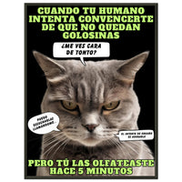 Póster Semibrillante de Gato con Marco Metal 