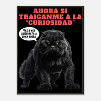 Póster Semibrillante de Gato con Marco Metal "Curiosidad Superada" Michilandia | La tienda online de los fans de gatos