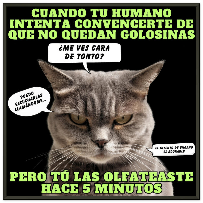 Póster Semibrillante de Gato con Marco Metal "El Detector de Golosinas" Michilandia | La tienda online de los amantes de gatos