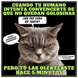 Póster Semibrillante de Gato con Marco Metal "El Detector de Golosinas" Michilandia | La tienda online de los amantes de gatos