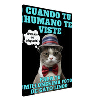 Lienzo de Gato 