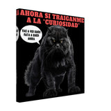 Lienzo de gato "Curiosidad Superada" Michilandia | La tienda online de los fans de gatos