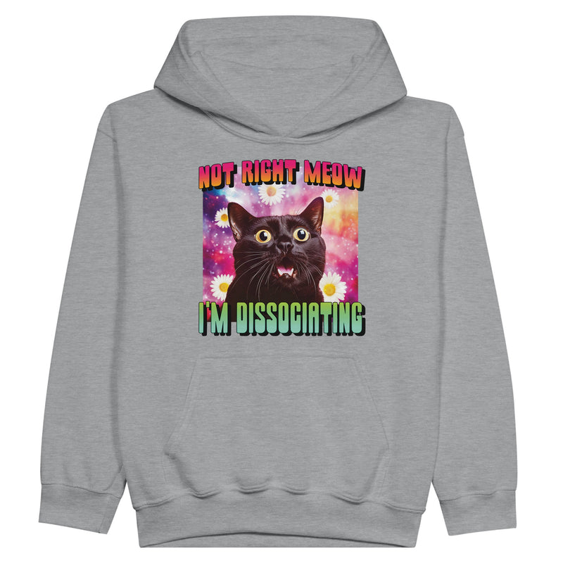 Sudadera con capucha júnior estampado de gato "Momento de Distancia" Michilandia