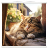 Póster semibrillante de gato con colgador "El Reposo del Sabio"