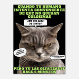 Lienzo de gato "El Detector de Golosinas"