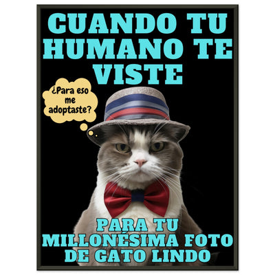 Póster Semibrillante de Gato con Marco Metal 