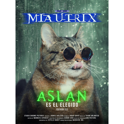 Tu Gato en la Portada de una Película - ¡Personalízala con su Nombre y Foto!