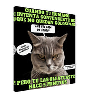 Lienzo de gato "El Detector de Golosinas" 50x50 cm / 20x20″