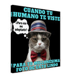 Lienzo de Gato "Modelo Reluctante" Michilandia | La tienda online de los amantes de gatos