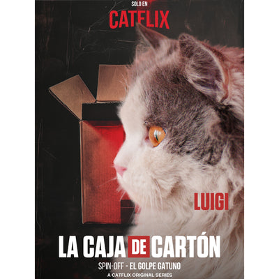 Tu Gato en la Portada de una Serie - ¡Hazlo el Protagonista!