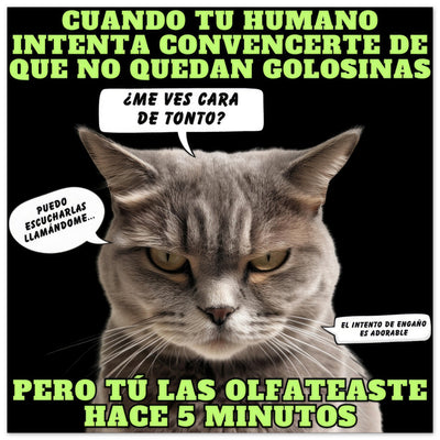 Panel de aluminio impresión de gato "El Detector de Golosinas" Michilandia | La tienda online de los amantes de gatos