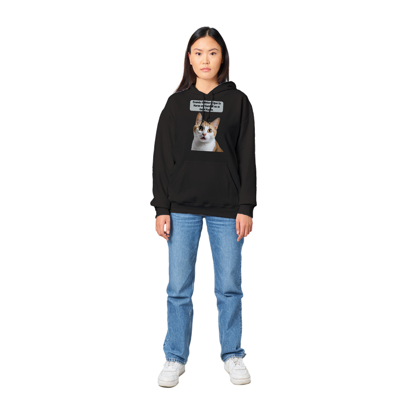 Sudadera con capucha unisex estampado de gato "¿Eres tú Karen?" Gelato