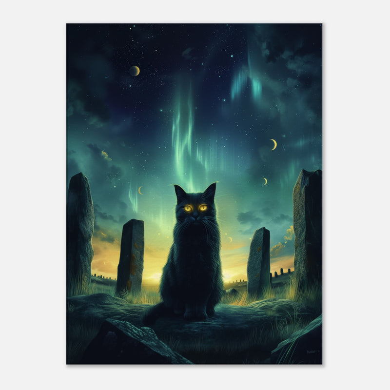 Lienzo de gato "Guardián de las Estrellas" Michilandia | La tienda online de los fans de gatos