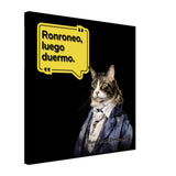 Lienzo de gato "René Michi Descartes" Michilandia | La tienda online de los amantes de gatos