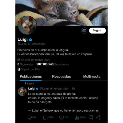 Tu Gato en su Propia Plataforma Digital - ¡Personaliza su Perfil!