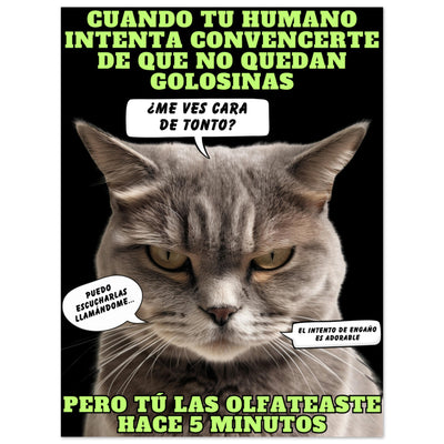 Panel de aluminio impresión de gato "El Detector de Golosinas" Michilandia | La tienda online de los amantes de gatos