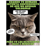 Panel de aluminio impresión de gato "El Detector de Golosinas" Michilandia | La tienda online de los amantes de gatos