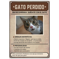 Póster Prémium de Avisos Personalizados de Gatos