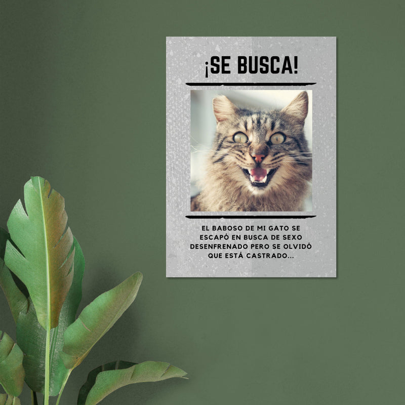 Póster Prémium de Avisos Personalizados de Gatos Gelato