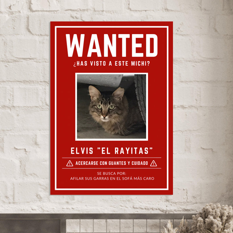 Póster Prémium de Avisos Personalizados de Gatos Gelato