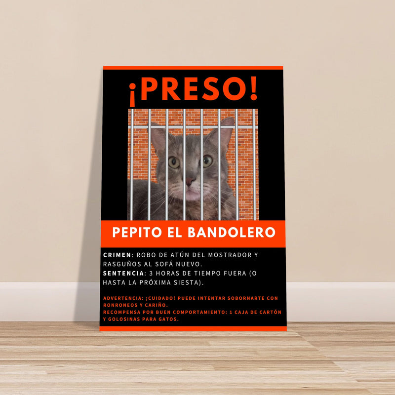 Póster Prémium de Avisos Personalizados de Gatos Gelato